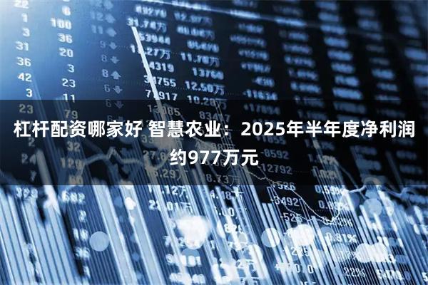 杠杆配资哪家好 智慧农业：2025年半年度净利润约977万元