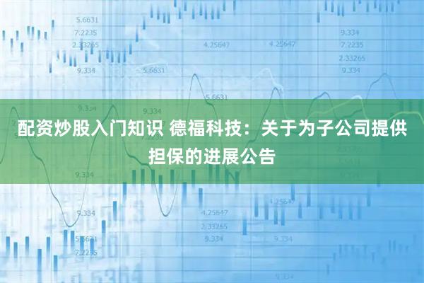 配资炒股入门知识 德福科技：关于为子公司提供担保的进展公告